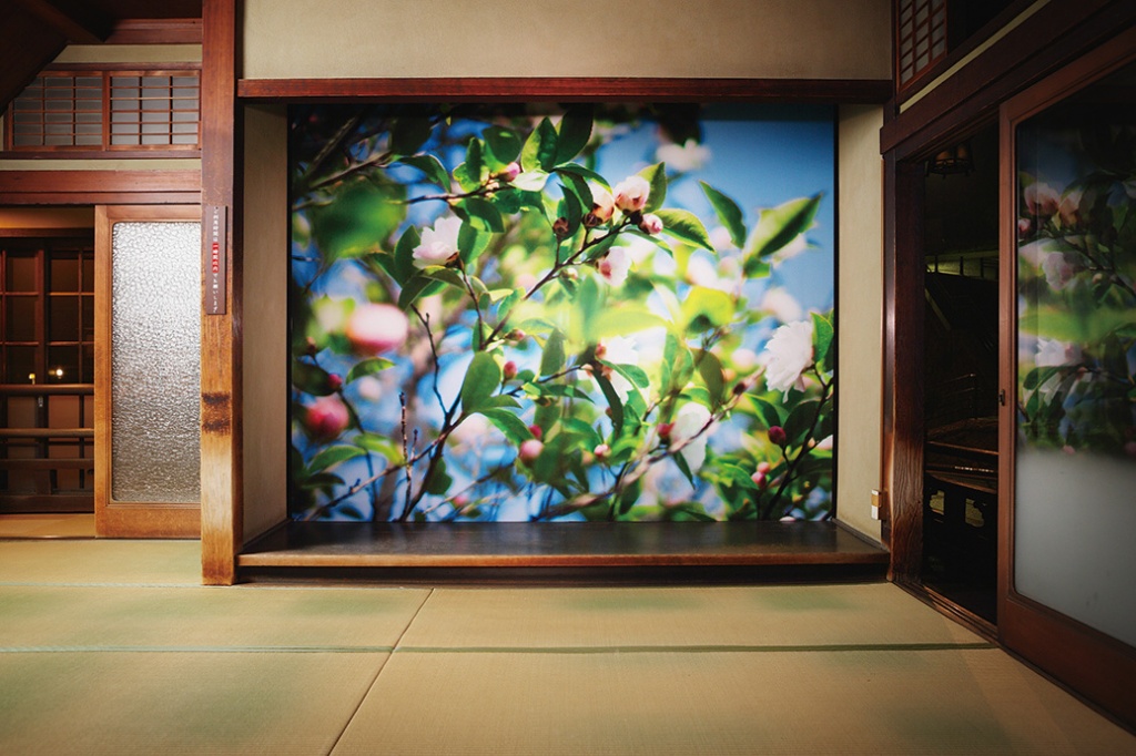 道後温泉本館内床の間作品展示（霊の湯2階席）©mika ninagawa, Courtesy of Tomio Koyama Gallery