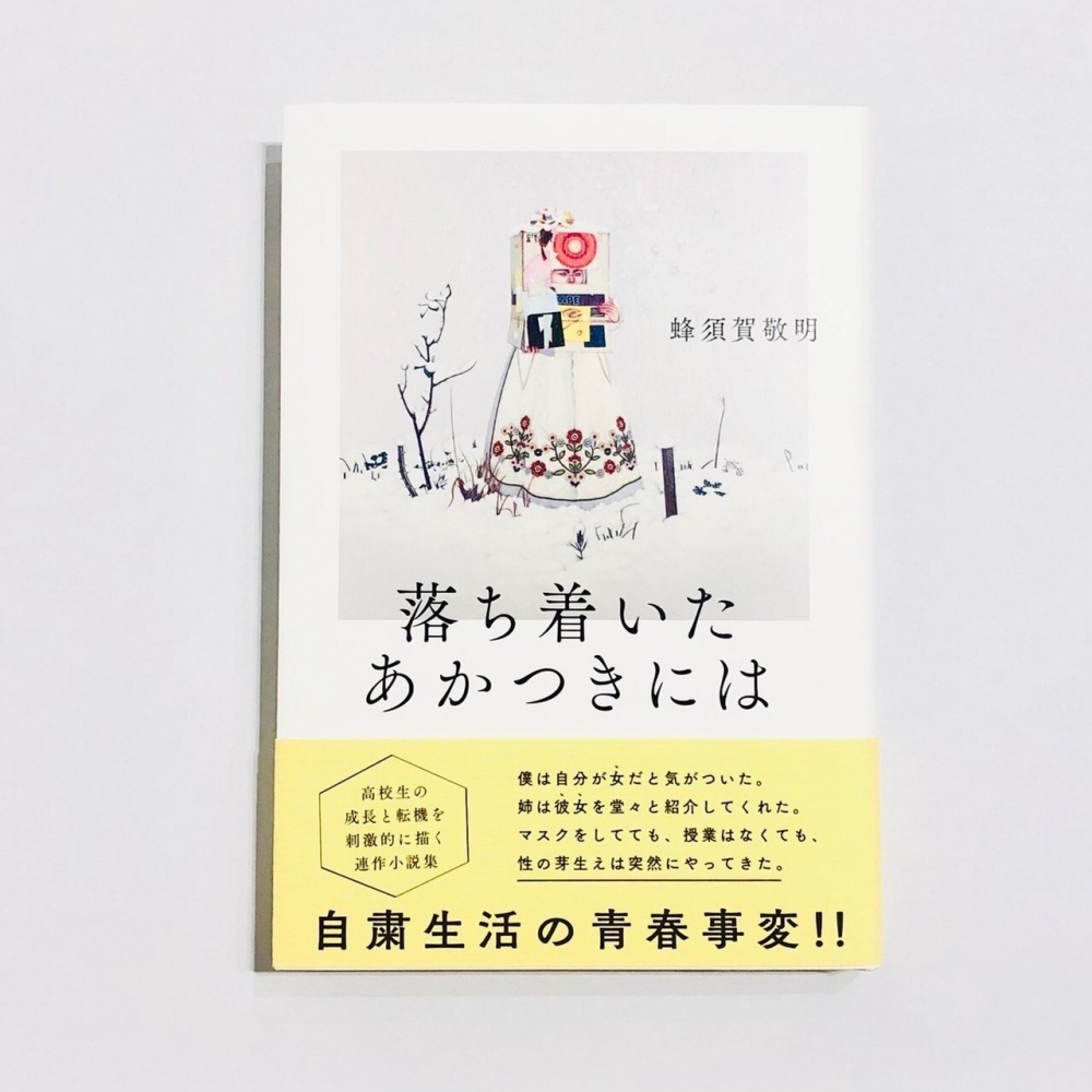 安藤正子 / 蜂須賀敬明 小説『落ち着いたあかつきには』（単行本 