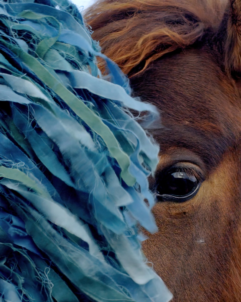 Ao 青」 – Tomio Koyama Gallery 小山登美夫ギャラリー